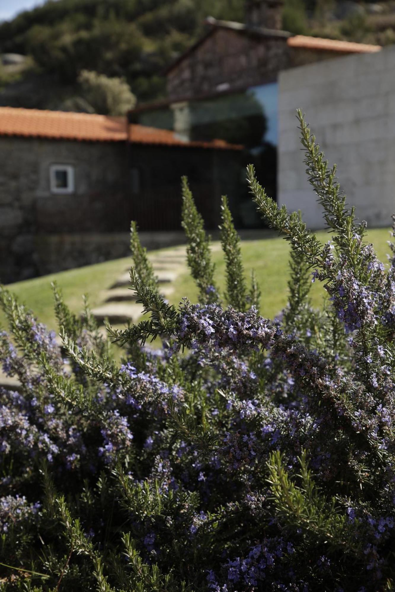 Geres - Leiras Do Tempo - Cottages Brufe Esterno foto